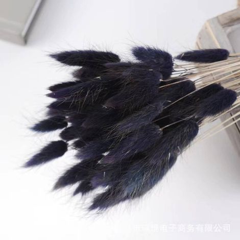 Plumeaux De Pampas Séchés - 40 Pièces - Longueur Environ 45 Cm - Couleur Noire - Décoration Naturelle Pour Intérieur Et Événements (1/5)