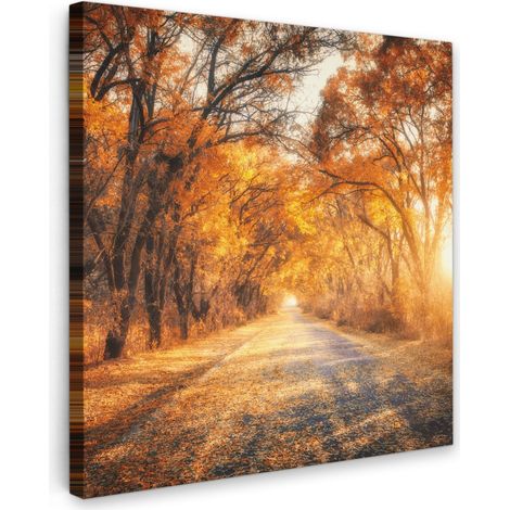 TABLEAU SUR TOILE Forêt - Automne - Arbres - Chemin forestier - Nature Tableau Chambre Adulte 90x90 cm