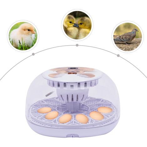 Poulet, canard, pigeon incubateur entièrement automatique, incubateur plat, 12 positions, système de contrôle automatique, uniformément chauffé, 26 14 26cm (1/5)