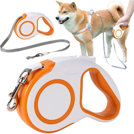 Orange und weiße Hundeleine (1/5)