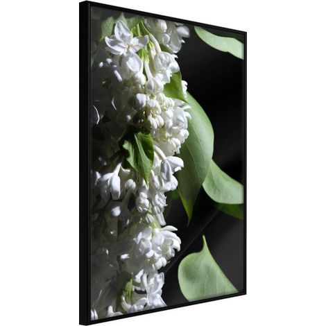 Affiche Murale Encadrée "Fragrant Spring" 21 x 30 cm Noir