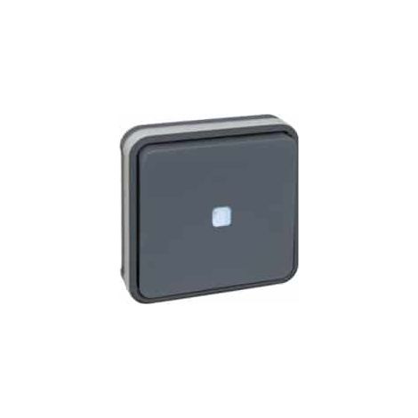 Interrupteur étanche va-et-vient avec témoin lumineux encastrable IP55 - Couleur - Gris : Va et vient 10A lumineux (voyant bleu) (1/2)