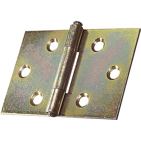 Chaniere large avec vis zingue L : 40mm Emballage 2 pieces