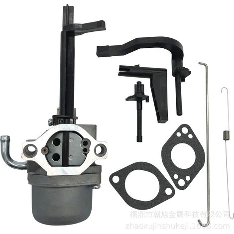 Briggs & Stratton Schneefräse Vergaser-Set 591378 699966 694952 796322 695918 (1/5)