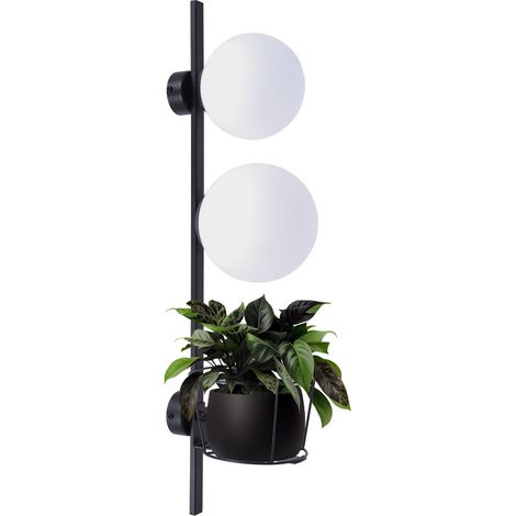 Applique PLANT 2 globes blancs E14/E27 Zuma Line 2x40W (1/4)