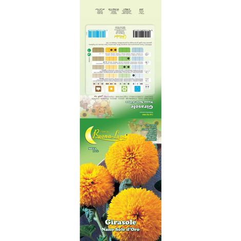 SEMI GARDEN GIRASOLE BAMBINO NANO