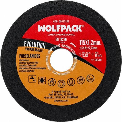 Disco diamante Evolution corte rápido y preciso Ø 115 mm (1/5)