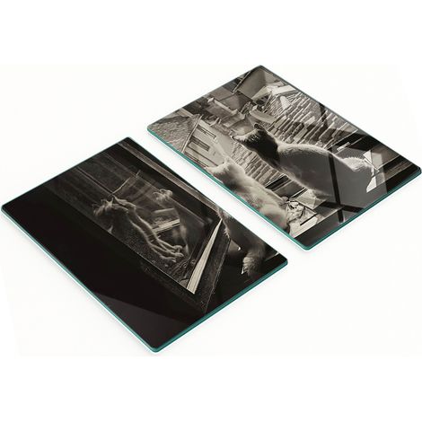 Tavole da cucina decorative multifunzionali in vetro con motivo "Gatti alla finestra" 2x40x52 cm (1/5)