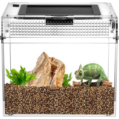 Zuchtbox, transparentes Terrarium, optimale Belüftung, Sicherheitsverschluss, für Reptilien und Insekten (1/5)