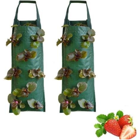 Pochette verticale murale pour plantes, sac de culture pour fraises (comprend 2 pochettes suspendues), convient aux plantes/herbes/fleurs/légumes (1/5)