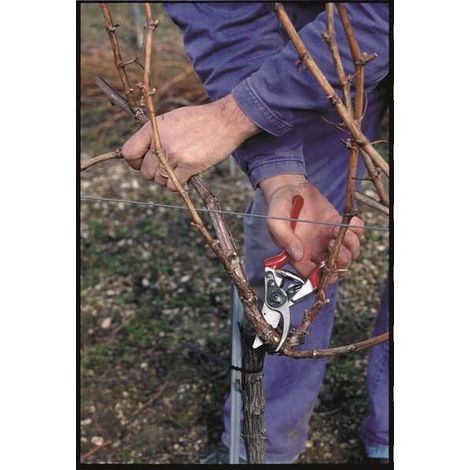 Sécateur à main bypass 210mm – Lame en acier trempé – Poignées en aluminium forgé – Coupe nette jusqu'à 25mm – Ergonomique pour réduire la fatigue – Felco (1/4)