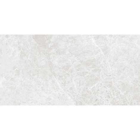 Mexen Lizard Campione d'argento gres porcellanato smaltato rett. G1, piastrella per pavimento e parete 120 x 60 cm, lucido - TL1 (1/4)