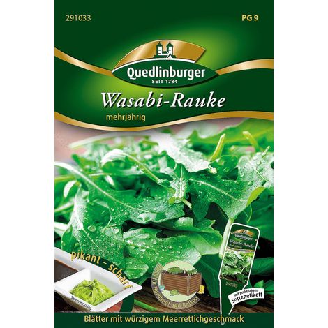Quedlinburger Wasabi-Rauke - Kräutersamen