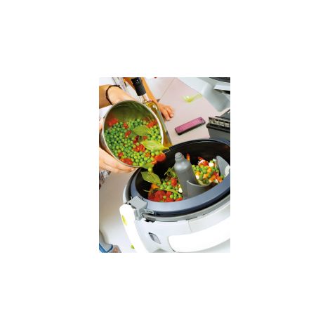 Seb Pale de Brassage Amovible pour Friteuse Actifry Family 1,5kg XA950101, Gris