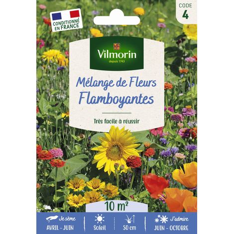 Sachet graines Mélange de Fleurs Flamboyant (1/2)
