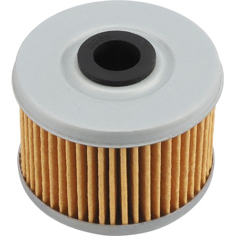 Filtre à huile compatible avec HONDA TRX520FM6 TRX520FM2 TRX520FM1 (1/5)