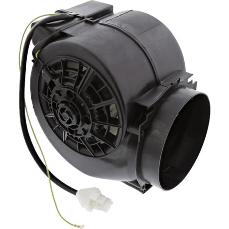 Ersatzteil - Motor -  - ELECTROLUX, FAURE