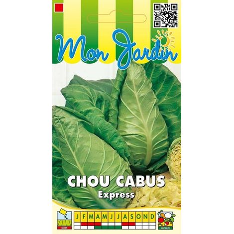 Chou cabus Express (pointu) - 3g