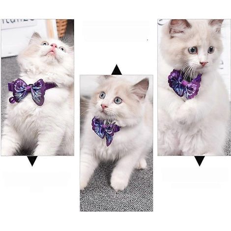 Collar con cascabel para mascotas, ajustable, 4 piezas, material PU. (1/5)