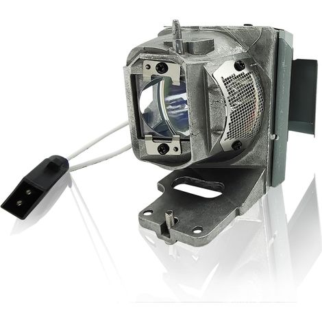 1 Ampoule de rechange BL-FU245A avec boîtier pour projecteur Optoma EH412 HD29HST (1/5)