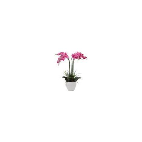 C ORCHIDEA C/VASO BIANCO 60 CM