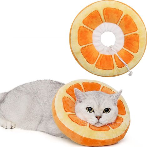 Collier cône réglable pour chat Collier de récupération doux et adorable pour chat, cône pour chat après l'opération, pour chatons (1/5)