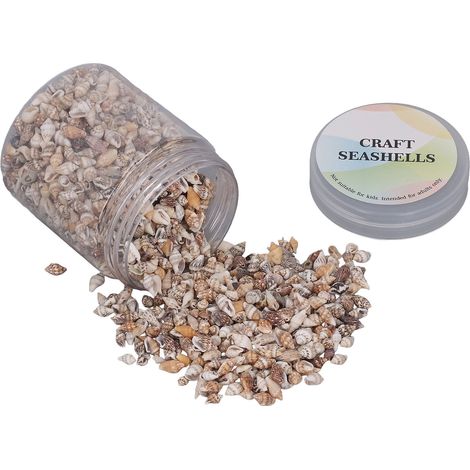1. Petit coquillage spiralé naturel non poreux pour l'aménagement paysager d'aquariums et la décoration de bouteilles flottantes. (1/5)