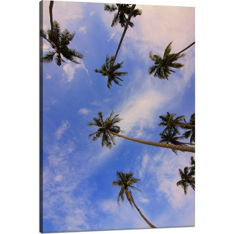 Lienzo impreso Naturaleza Palmeras de coco 80x120 cm