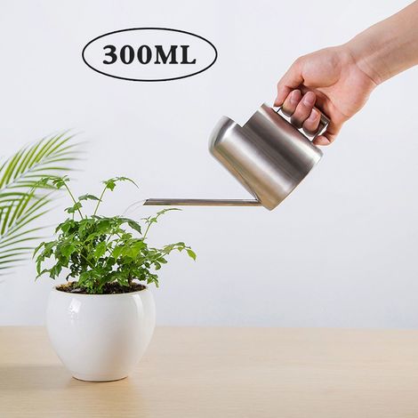 Arrosoir En Acier Inoxydable - Arrosoir Métallique À Bec Long Pour Arrosage Précis De Plantes D’intérieur Et D’extérieur - Capacité 300 Ml (1/5)
