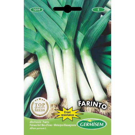 Graines de Poireaux 3 g EC1019 Multicolore (1/2)