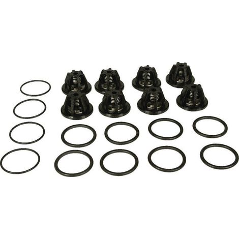 Set de v谩lvulas Bertolini BERTOLINI 289884973
