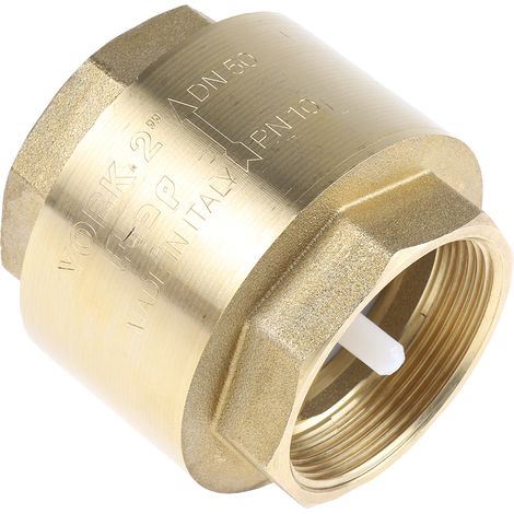 Clapet antiretour en Laiton RS PRO BSPP 2" ( Prix pour 1 )