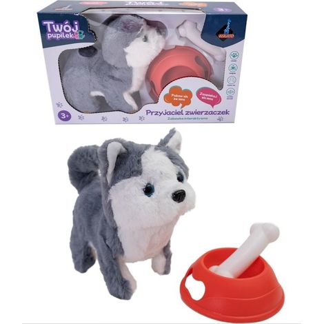 Cane a batteria con accessori