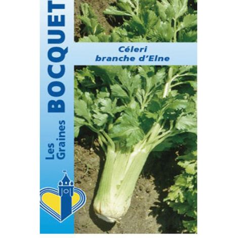 Céleri branche 'd'Elne' le sachet de 3000 graines (1,5g) (1/2)