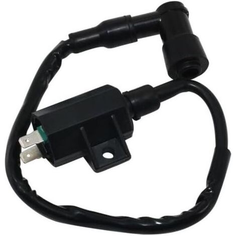 Bobine d'allumage haute tension compatible avec/remplacement pour Kaawwaassaakkii ATV 21121-1160 21121-1198 KLF220 (1/4)