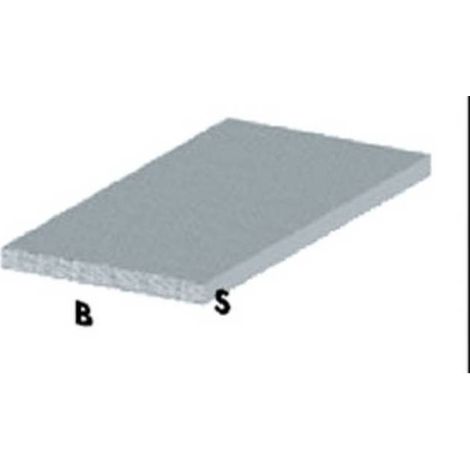 5 x PROFILO ARGENTO H.100 CM PIATTO 15X2 MM