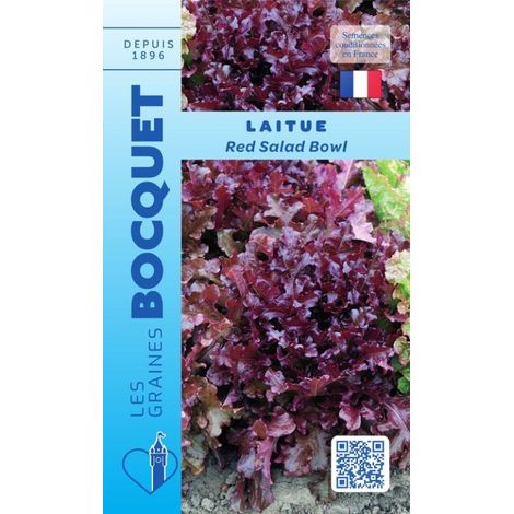 Laitue à couper Red Salad bowl rouge - 4g