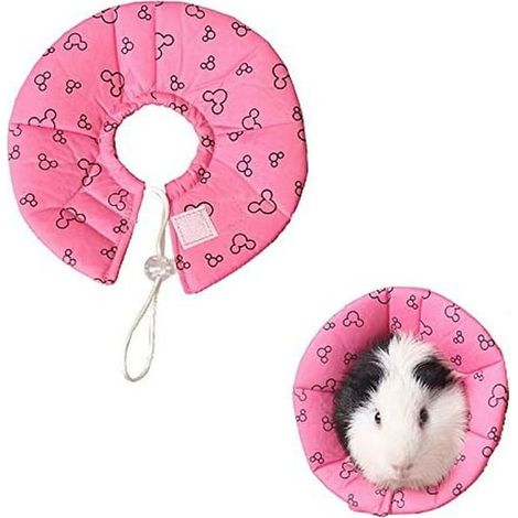 Collier de protection pour hamster et lapin - Collier élisabéthain anti-morsure et anti-griffures pour petits animaux (cochon d'Inde, souris, rat, furet, écureuil) (1/5)