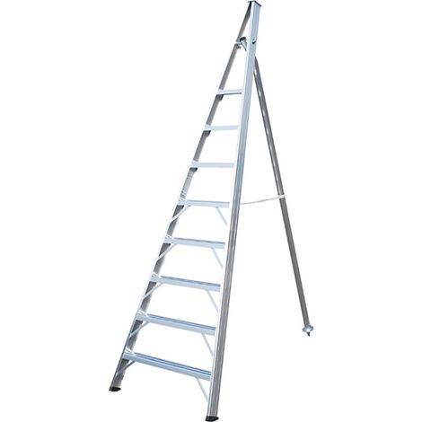 Scala da frutta a 12 pioli con punta - Altezza massima di lavoro 4,79 m - SCA1969/12-SCCSTO (1/5)