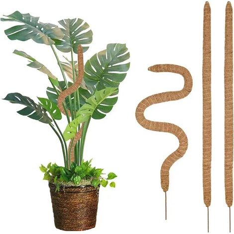 (attache plastique de 20 m) Tuteur en fibre de coco flexible pour plantes grimpantes, support d'extension pour palmiers et vignes, décoration florale d'intérieur, balcon, jardin ou cour