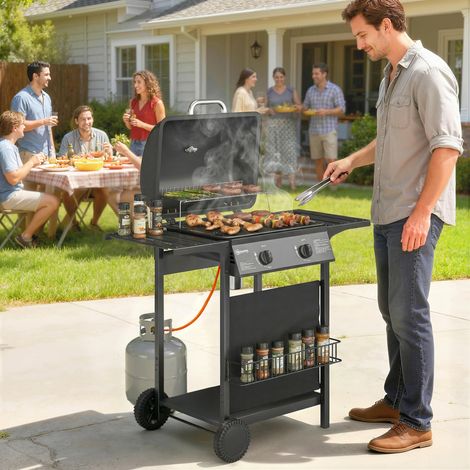 Barbecue à gaz avec 2 brûleurs, 5 kW, thermomètre, tablettes latérales, grille de maintien au chaud et 2 roues, noir. (1/5)