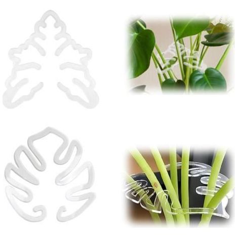 Monstera-Pflanzenstütze - Bambusstäbe-Set - Langlebig - Einfach zu verwenden - Grün