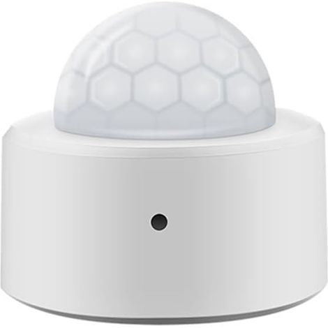 Capteur de Mouvement ,Connexion Zigbee Capteur Infrarouge avec Mouvement Humain+capteur de lumière 2-en-1 pour l'intérieur ou Le détecteur de Mouvement.