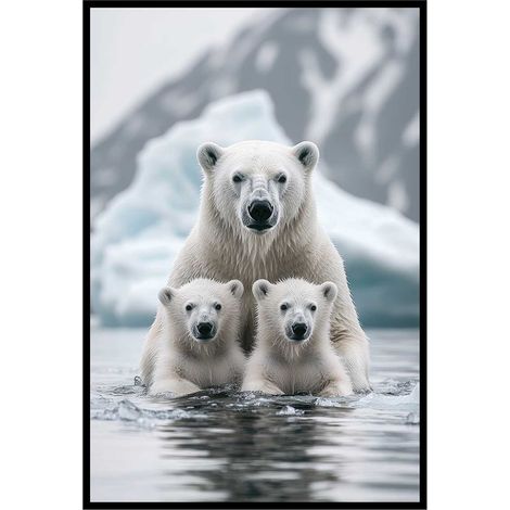 Affiche encadrée ours polaire et oursons (1/5)