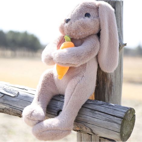 Lapin En Peluche - Lapin À Oreilles Tombantes Assis Avec Carotte - Jouet En Peluche Pour Pâques - 20 cm - 1 Pièce (1/3)