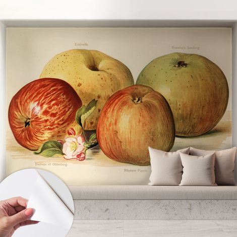 Papier peint adhésif autocollant pour salon chambre à coucher tendance et originale Pommes et fleurs 208x146 cm (1/5)