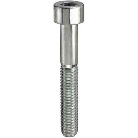 VITI METRICHE TCEI INOX A2 - M8 X 60 - 2 PZ.