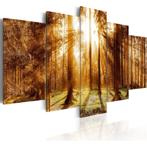 Quadro - Forest Illumination - 200x100 (1/4)