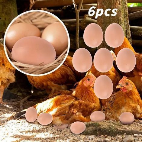 Faux Oeufs Alimentaire Elevage poule lot de 6