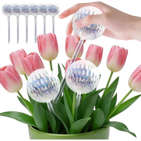 Globes d'arrosage en Verre, Plantes interieu dégradé Arc-en-Ciel à arrosage, système d'arrosage Automatique pour Plantes d'intérieur et d'extérieur, arrosage Plante Interieur (1/5)